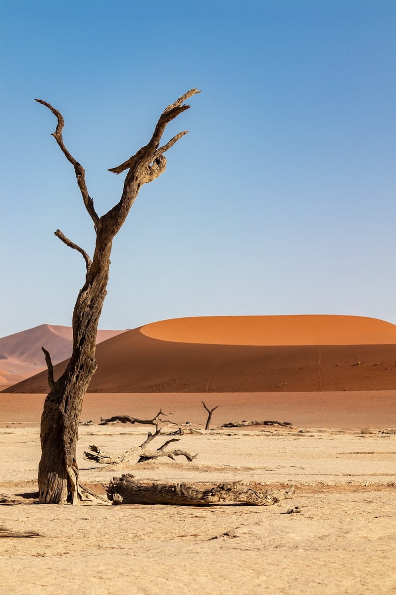 Sossusvlei, Namibia