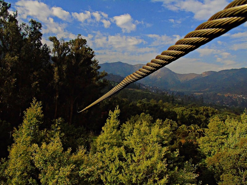 Zip lining through the forest